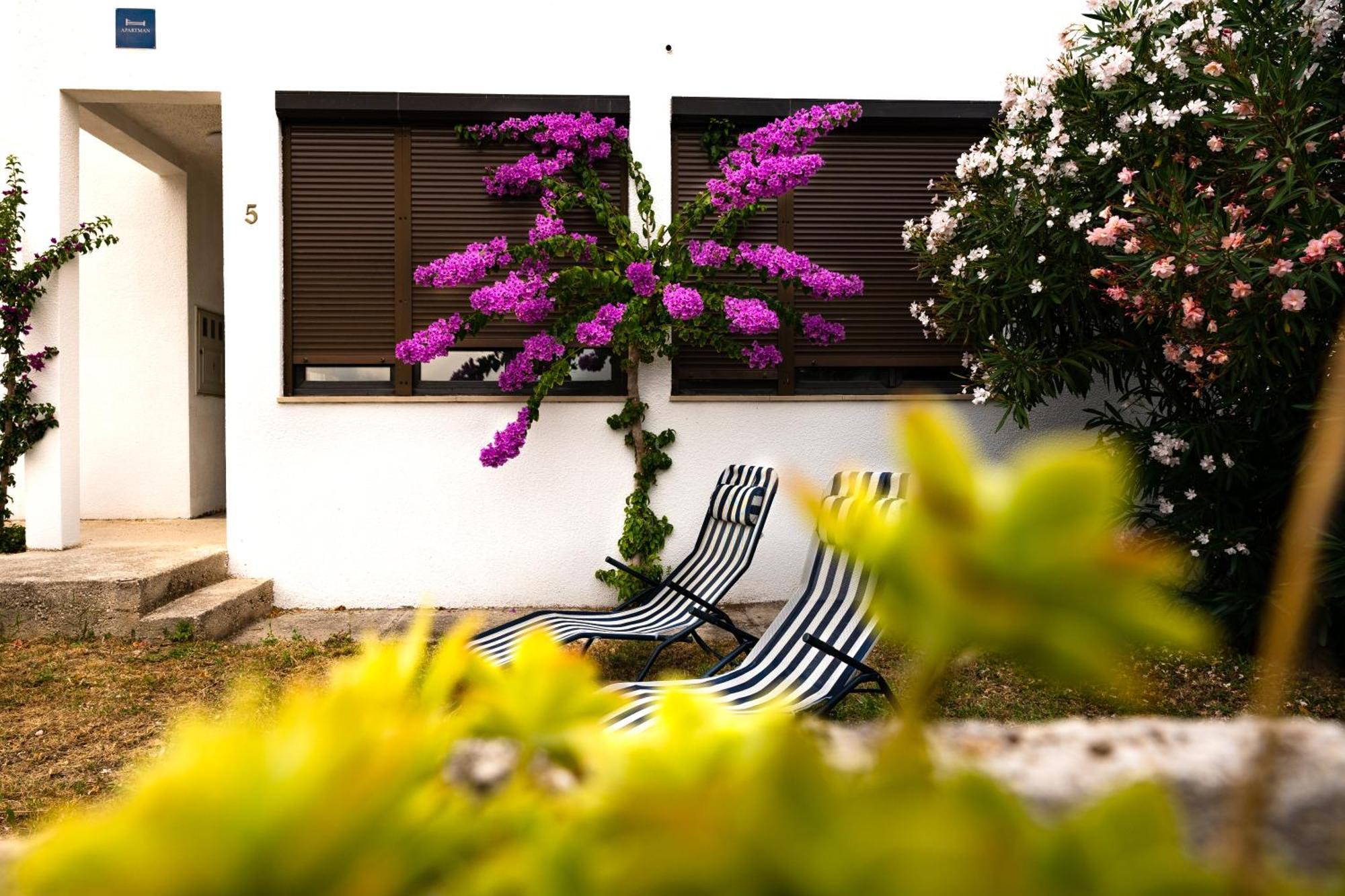 Apartments Dida Sime Starigrad Paklenica Esterno foto